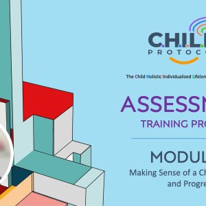 Assessment Training Program: Module 2